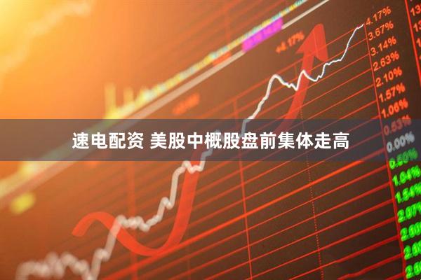速电配资 美股中概股盘前集体走高