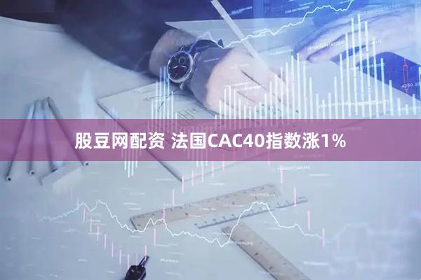 股豆网配资 法国CAC40指数涨1%