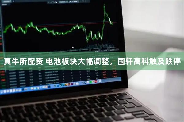 真牛所配资 电池板块大幅调整，国轩高科触及跌停